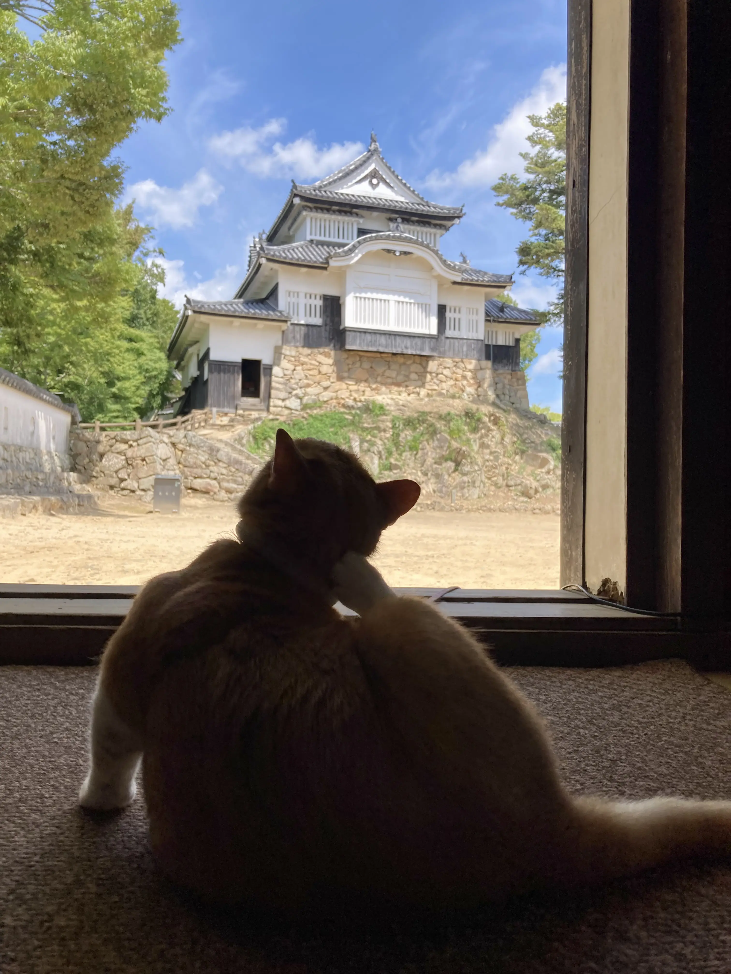 備中松山城の天守と石垣。山の稜線にのる天空の山城。