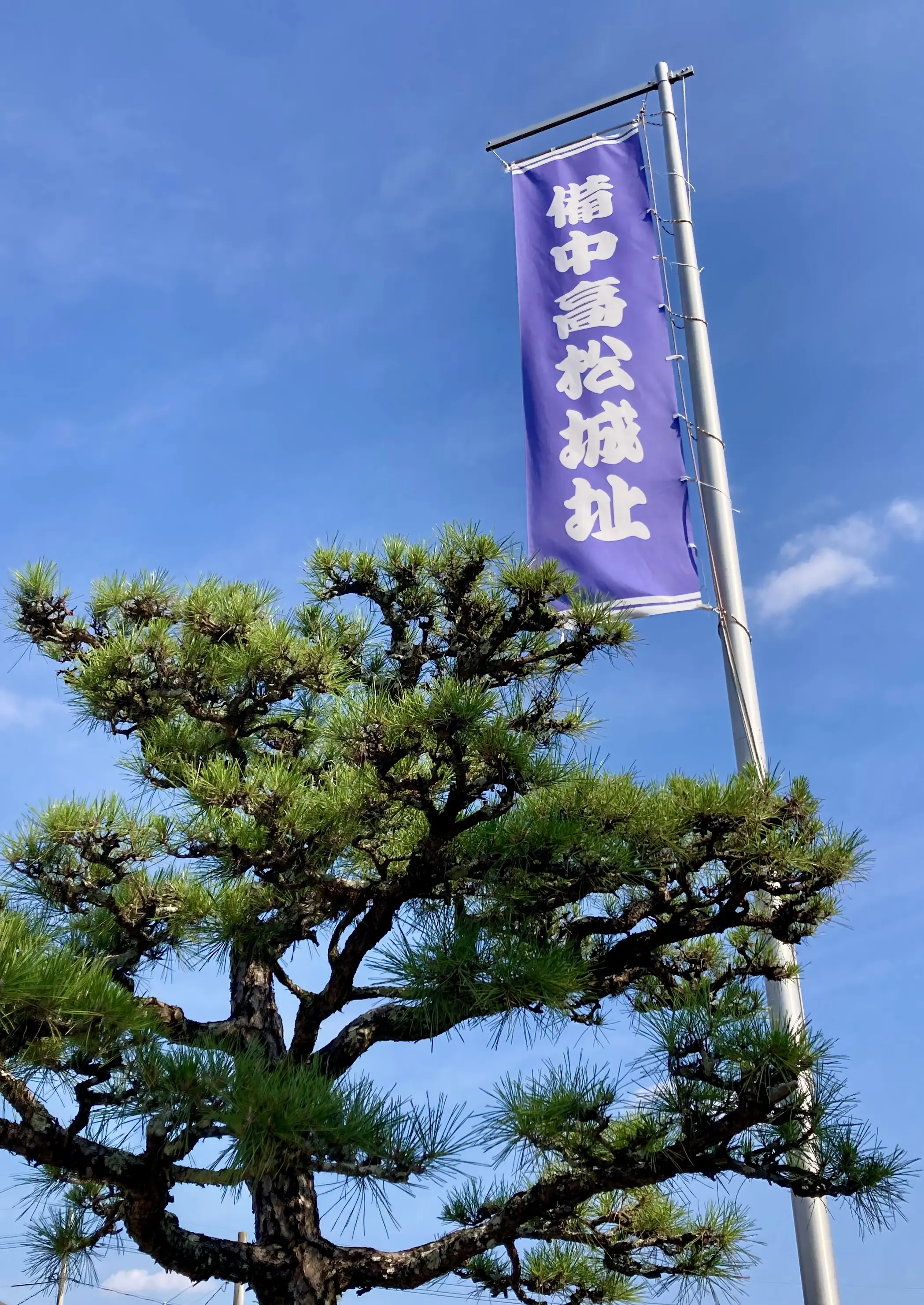 備中高松城跡の宗治蓮が広がる堀跡。