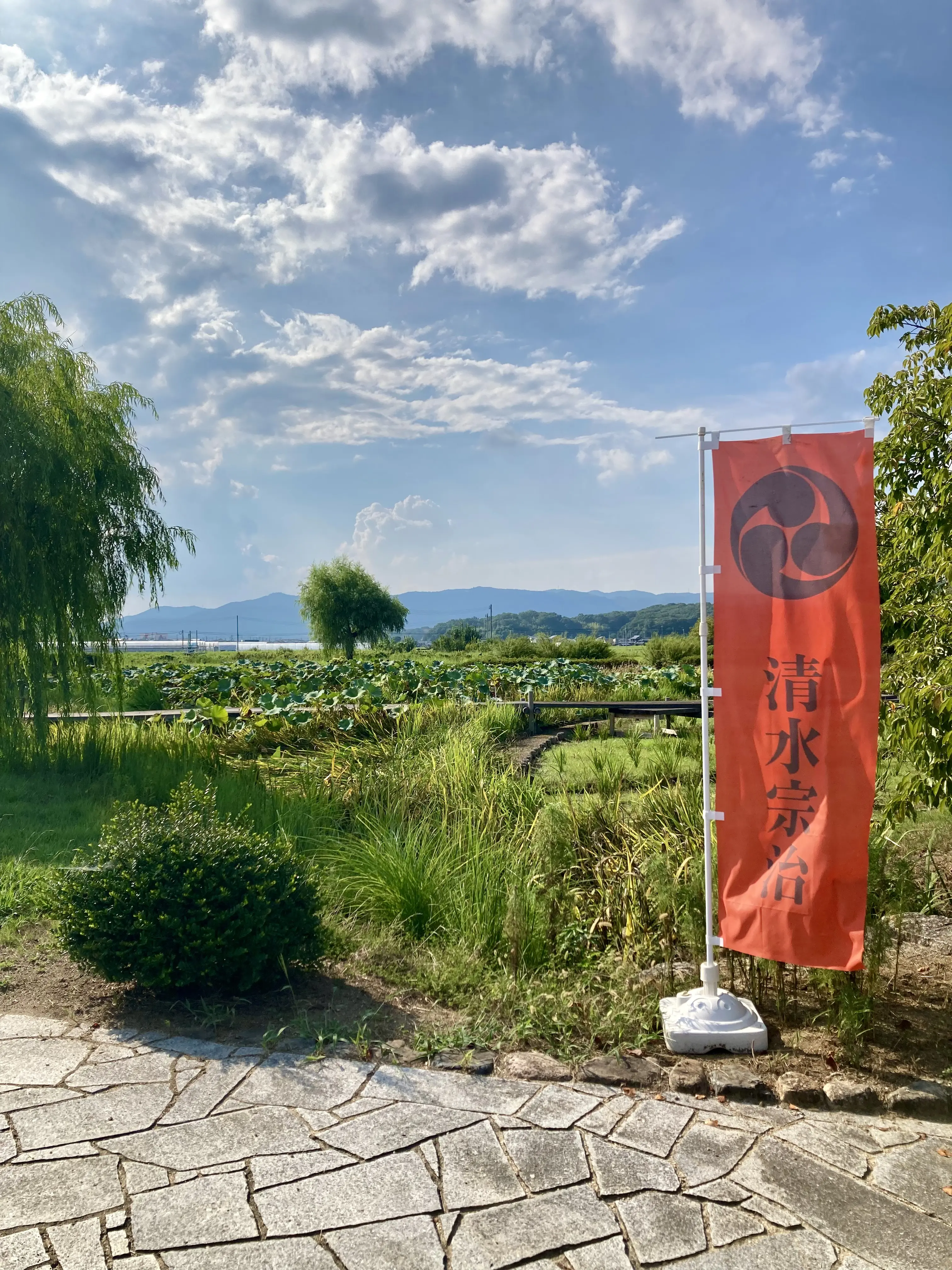 備中高松城跡の宗治蓮が広がる堀跡。