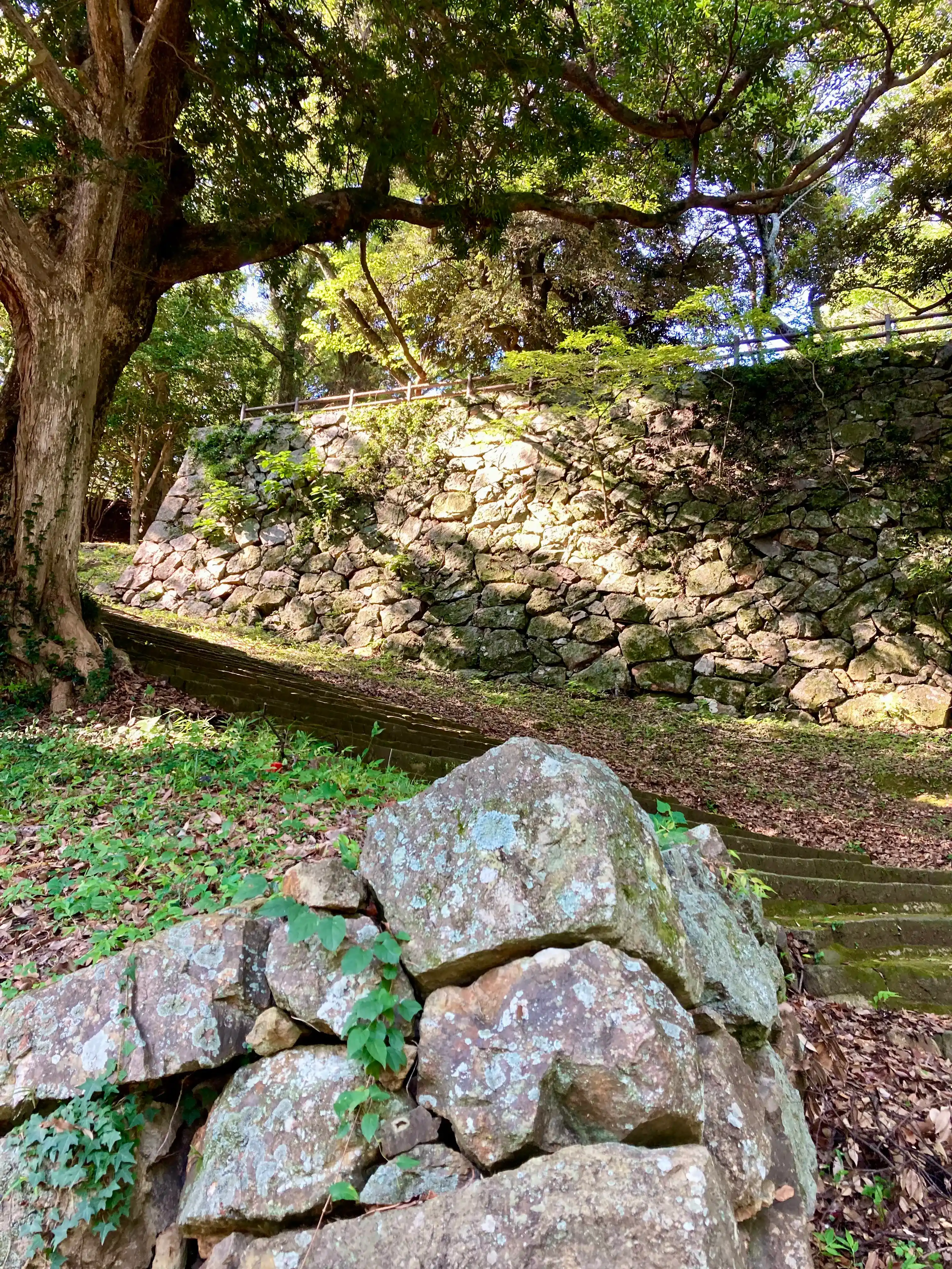 浜田城跡から日本海を望む風景