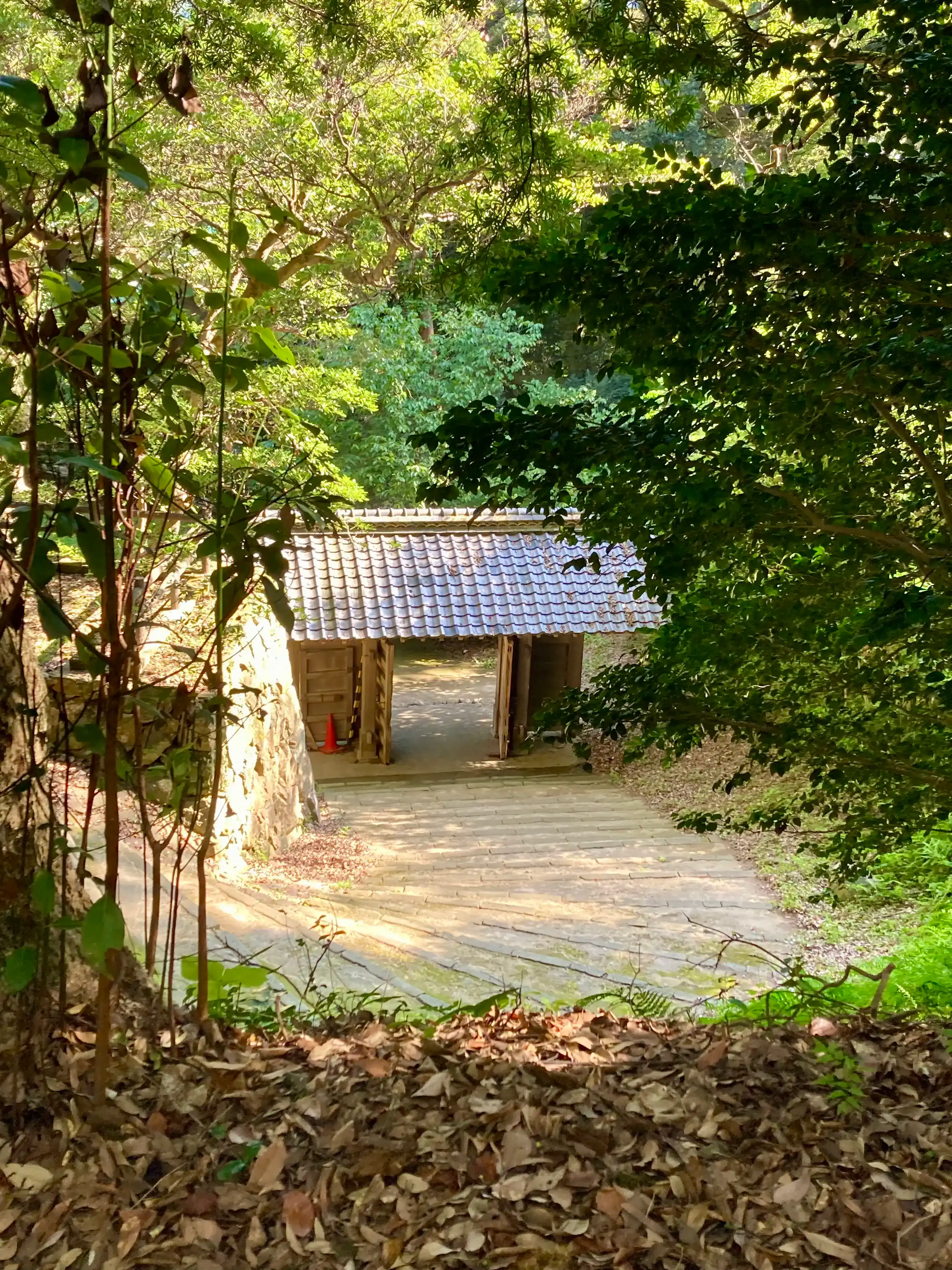 浜田城跡から日本海を望む風景