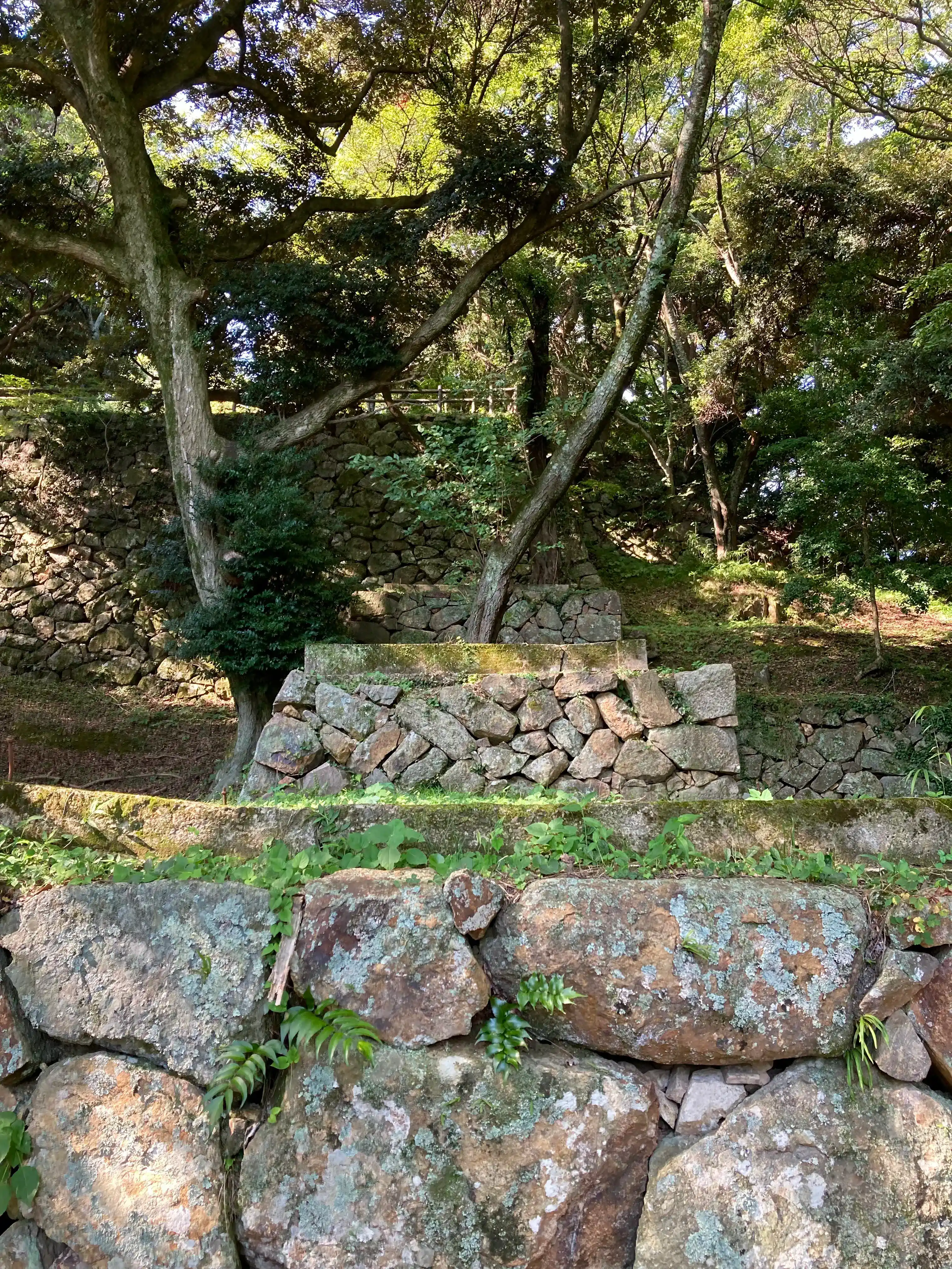 浜田城跡から日本海を望む風景