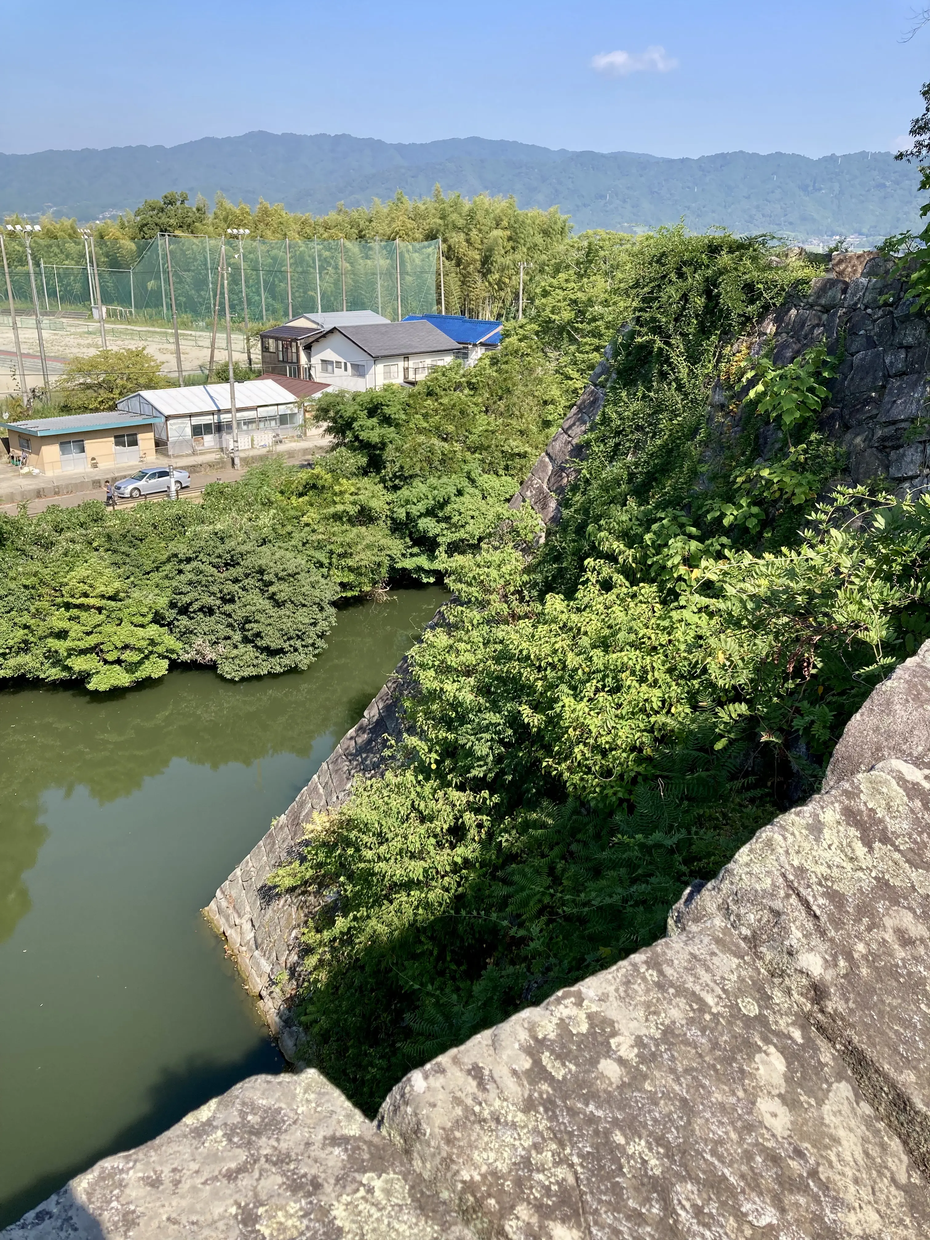 伊賀上野城の高石垣と白壁の天守。