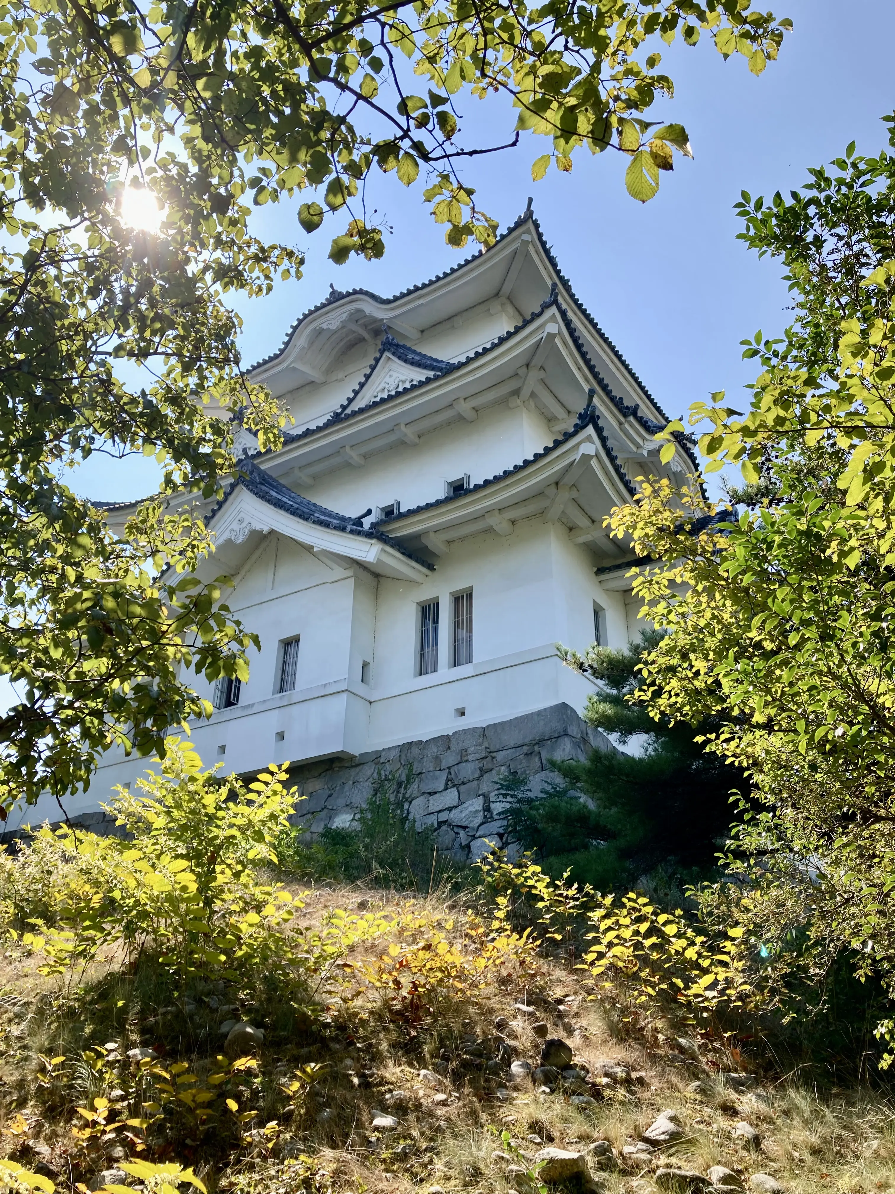 伊賀上野城の高石垣と白壁の天守。