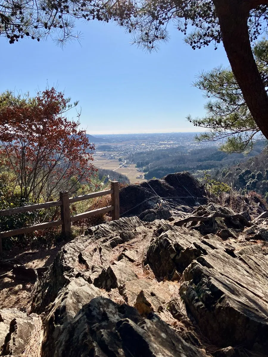 唐沢山城 天狗岩の眺望