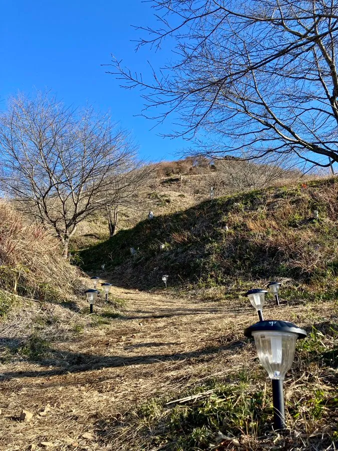 皆川城 入口付近の竪堀