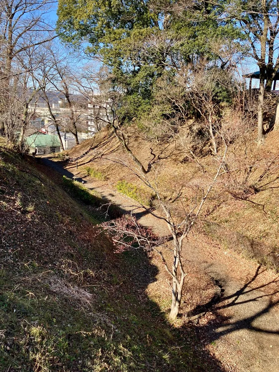 佐野城 公園と池の雰囲気