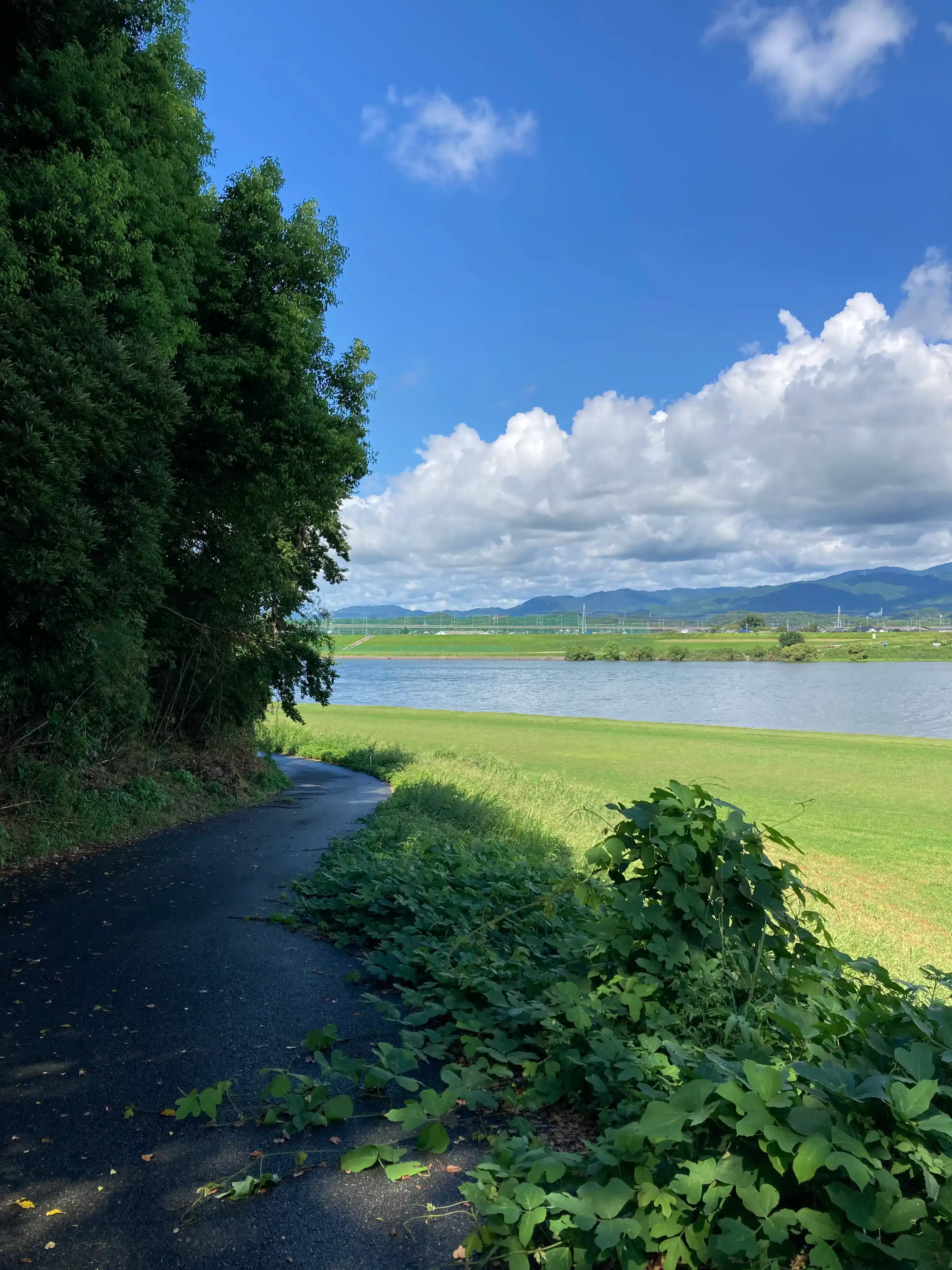 久留米城本丸付近の石垣と城内の様子