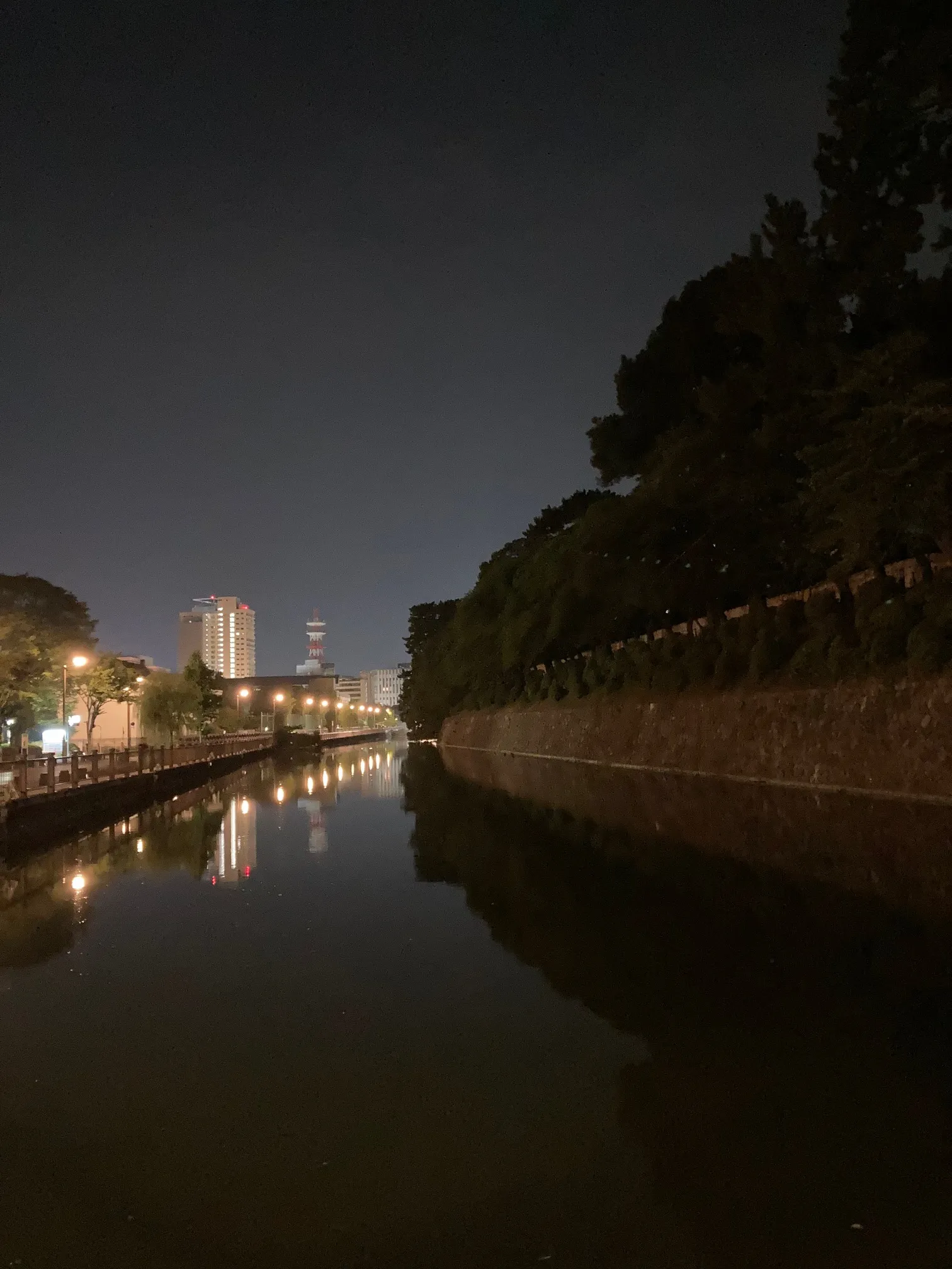 駿府城のお堀沿いの夜道と草深橋の欄干