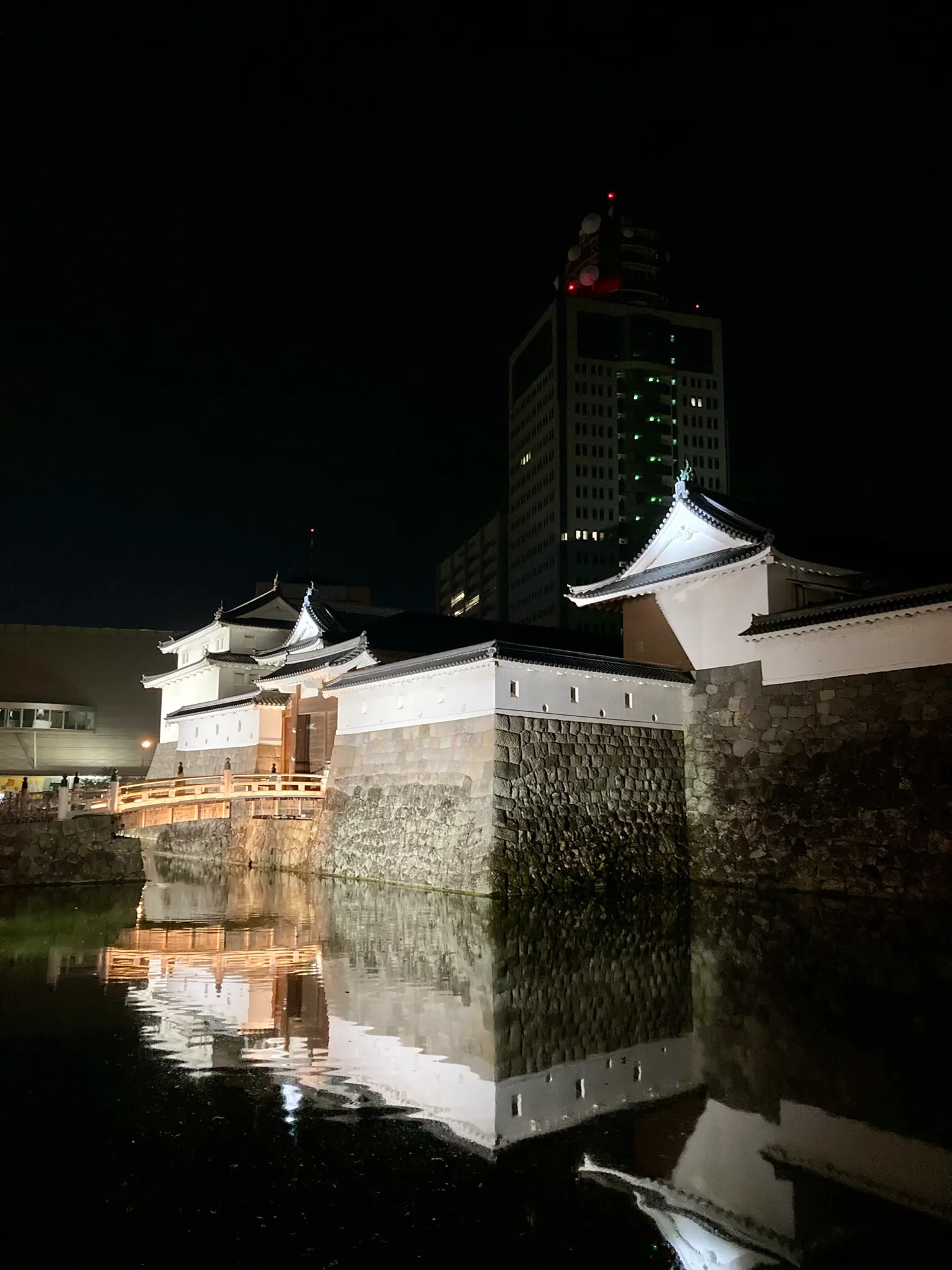 駿府城のお堀沿いの夜道と草深橋の欄干