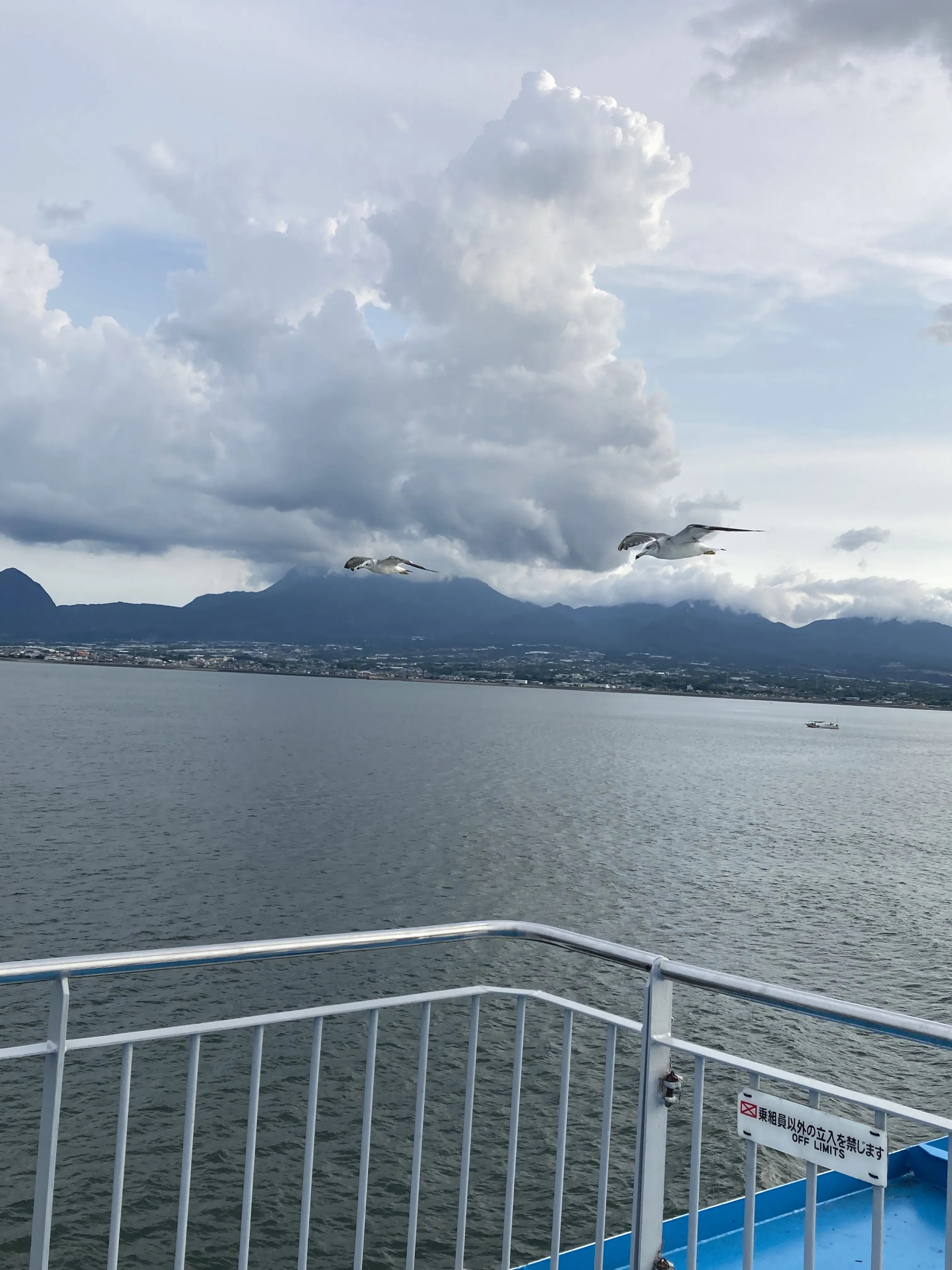 フェリーからの眺め