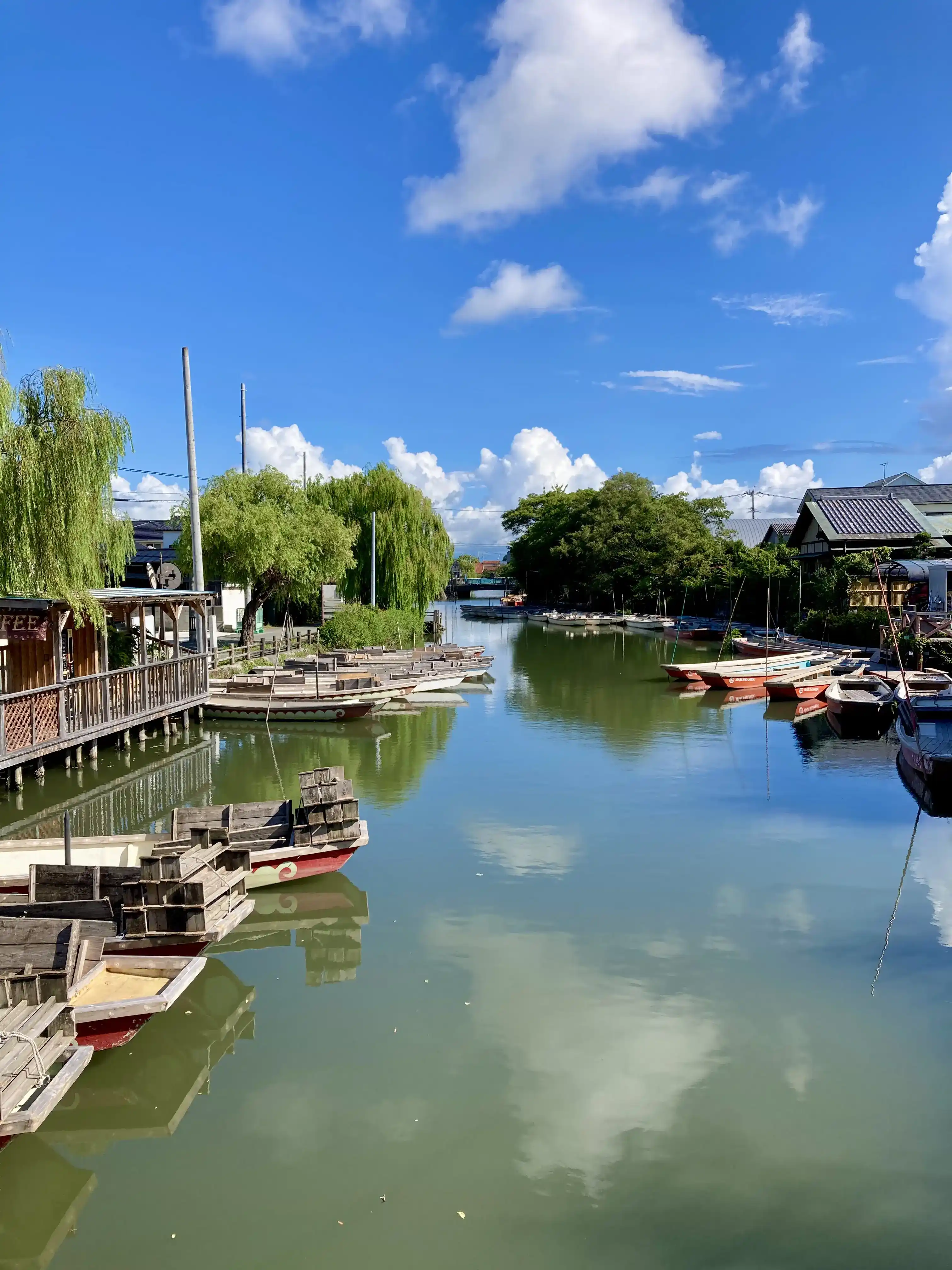 柳川城跡付近の掘割と水郷の風景